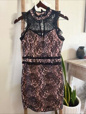 Endless Rose Elegant Black Lace Overlay Nude Sheath Dress